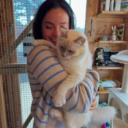 Cattery carer giving one-on-one attention to a cat at The DD's cat boarding North Shore Sydney